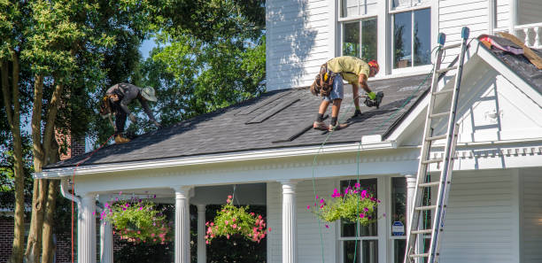 Best Roof Insulation Installation  in Rutherford, PA